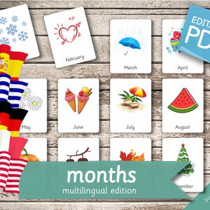 MONTHS MULTILINGUAL Edition • 60 English, French, German, Greek, and Spanish Editable Montessori Cards • Nomenclature Cards preschool Toys