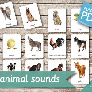 ANIMAL SOUNDS 3232 Editable Montessori Cards Flash Cards - Etsy Canada ANIMAL SOUNDS 3232 Editable Montessori Cards Flash Cards - Etsy Canada