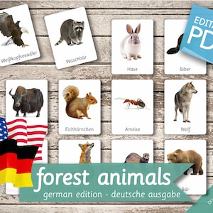 FOREST ANIMALS GERMAN Edition • 22 German and 22 English Editable Montessori Cards • Flash Cards Nomenclature Cards preschool Pdf Printable