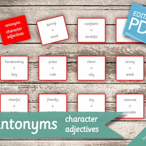 ANTONYMES Adjectifs pour personnages • 29 cartes Montessori • Cartes Flash Cartes Flash de nomenclature Pdf modifiables Cartes imprimables préscolaire