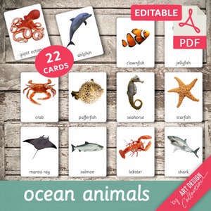 OCEAN ANIMALS • 22 Montessori Cards • Flash Cards  Nomenclature FlashCards  Editable Pdf Printable Cards preschool