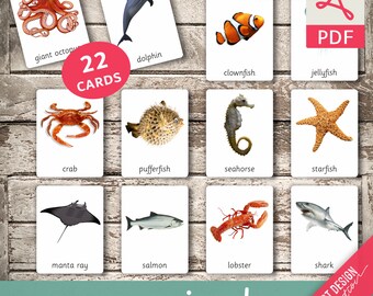 OCEAN ANIMALS • 22 Montessori Cards • Flash Cards  Nomenclature FlashCards  Editable Pdf Printable Cards preschool