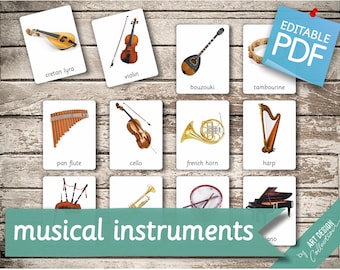 INSTRUMENTOS MUSICALES • 32 Tarjetas Montessori Editables • Tarjetas Flash Nomenclatura Tarjetas Flash PDF Tarjetas Imprimibles juguetes preescolares