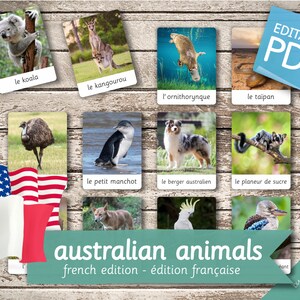 AUSTRALIAN ANIMALS FRENCH Edition • 32 French and 32 English Editable Montessori Cards • Flash Cards Nomenclature Pdf Printable preschool