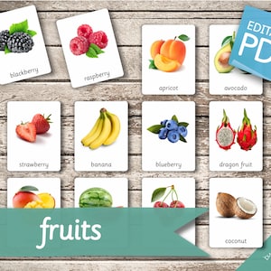 FRUITS real pictures 50 Editable Montessori Cards Flash Cards Nomenclature FlashCards Pdf Printable Cards Montessori Toys preschool 画像 2