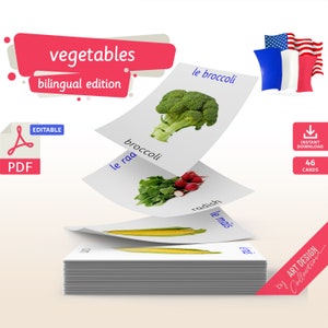 VEGETABLES (real pictures) BILINGUAL • 46 Editable Montessori Flash Cards Nomenclature Flashcards Pdf Printable Cards preschool flash card