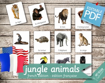 JUNGLE ANIMALS FRENCH Edition • 22 French and 22 English Editable Montessori Cards • Flash Cards Nomenclature Cards  preschool Pdf Printable