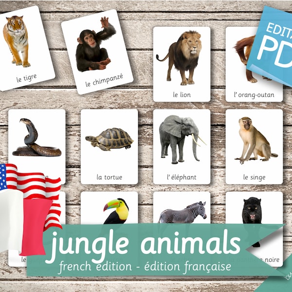JUNGLE ANIMALS FRENCH Edition • 22 French and 22 English Editable Montessori Cards • Flash Cards Nomenclature Cards  preschool Pdf Printable