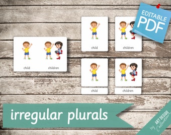 IRREGULAR PLURALS • 54 Montessori Cards • Flash Cards  Nomenclature FlashCards  Editable Pdf Printable Cards preschool