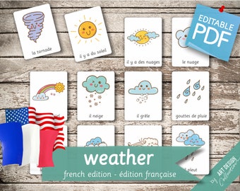 WEATHER FRENCH Edition • 26 French and 26 English Editable Montessori Cards • Flash Cards Nomenclature Cards Pdf Printable Cards preschool