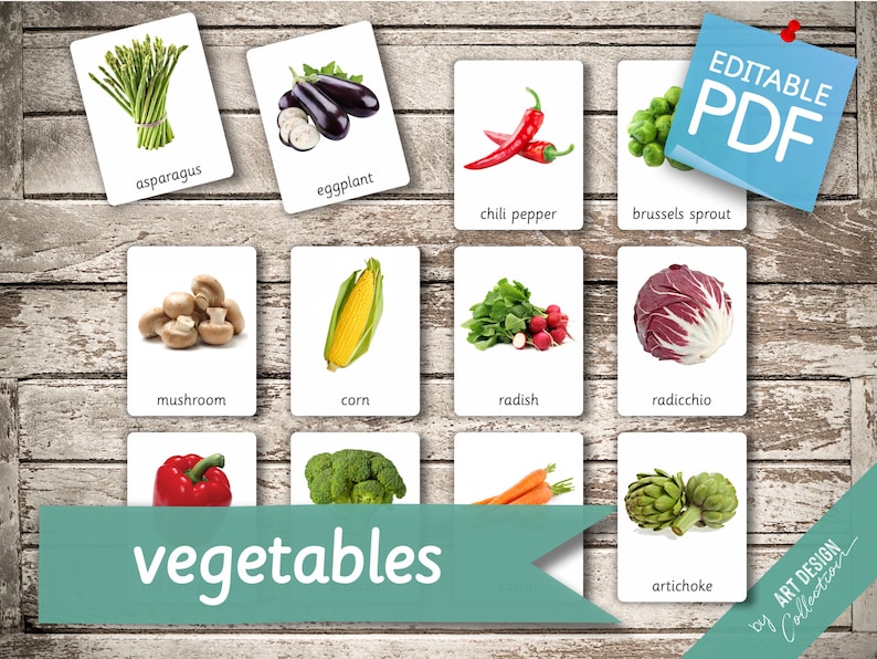 VEGETABLES (real pictures) • 46 Editable Montessori Cards • Flash Cards  Nomenclature FlashCards Pdf Printable Cards preschool Toys