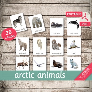 ANIMAUX DE L'ARCTIQUE • 20 cartes Montessori modifiables • Cartes Flash Cartes Flash de nomenclature PDF Cartes imprimables Jouets préscolaires