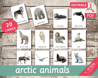 ARCTIC ANIMALS • 20 Editable Montessori Cards • Flash Cards Nomenclature FlashCards PDF Printable Cards preschool Toys