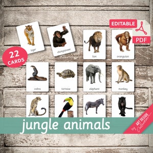 JUNGLE ANIMALS • 22 Editable Montessori Cards • Flash Cards Nomenclature FlashCards Editable Pdf Printable Cards preschool