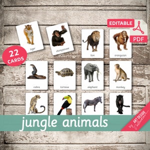 ANIMAUX DE LA JUNGLE • 22 cartes Montessori modifiables • Cartes Flash Cartes Flash de nomenclature Pdf modifiables Cartes imprimables préscolaire