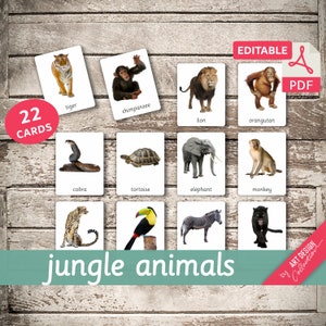 JUNGLE DIEREN • 22 bewerkbare Montessori-kaarten • Flash-kaarten Nomenclatuur FlashCards Bewerkbare PDF-afdrukbare kaarten voorschoolse