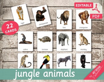 JUNGLE ANIMALS • 22 Editable Montessori Cards • Flash Cards Nomenclature FlashCards Editable Pdf Printable Cards preschool