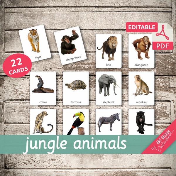 ANIMALES DE LA SELVA • 22 Tarjetas Montessori Editables • Tarjetas Flash Nomenclatura FlashCards Editables Pdf Tarjetas Imprimibles Preescolar