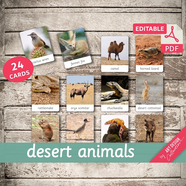 DESERT ANIMALS • 24 Editable Montessori Cards • Flash Cards  Nomenclature FlashCards  Editable PDF Printable Cards Montessori Toys preschool