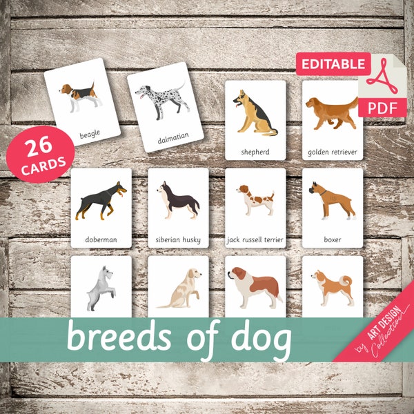 BREEDS OF DOG • 26 Editable Montessori Cards • Flash Cards Nomenclature FlashCards Pdf Printable Cards preschool Toys