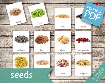 SEEDS (real pictures) • 28 Editable Montessori Cards • Flash Cards  Nomenclature FlashCards Pdf Printable Cards Montessori Toys preschool