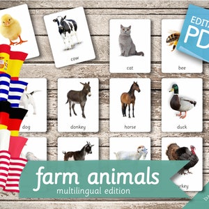 FARM ANIMALS MULTILINGUAL Edition • 22 English, French, German, Greek, and Spanish Editable Montessori Cards • Nomenclature Cards preschool