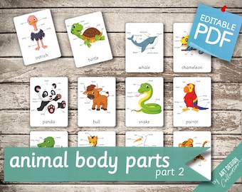 ANIMAL BODY PARTS (part 2) • 104 Editable Montessori Cards • Flash Cards Nomenclature FlashCards Pdf Printable Cards preschool Toys