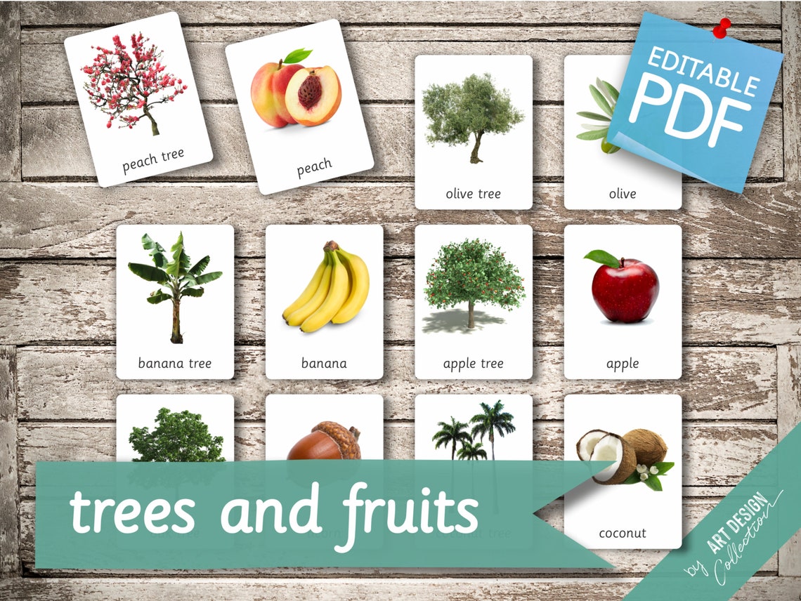 TREES AND FRUITS • 48 Montessori Cards • Flash Cards Nomenclature ...