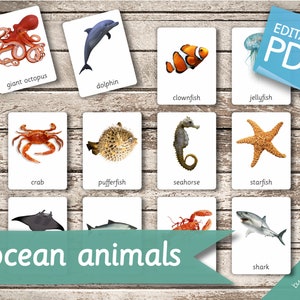 OCEAN ANIMALS 22 Montessori Cards Flash Cards Nomenclature FlashCards Editable Pdf Printable Cards preschool zdjęcie 2