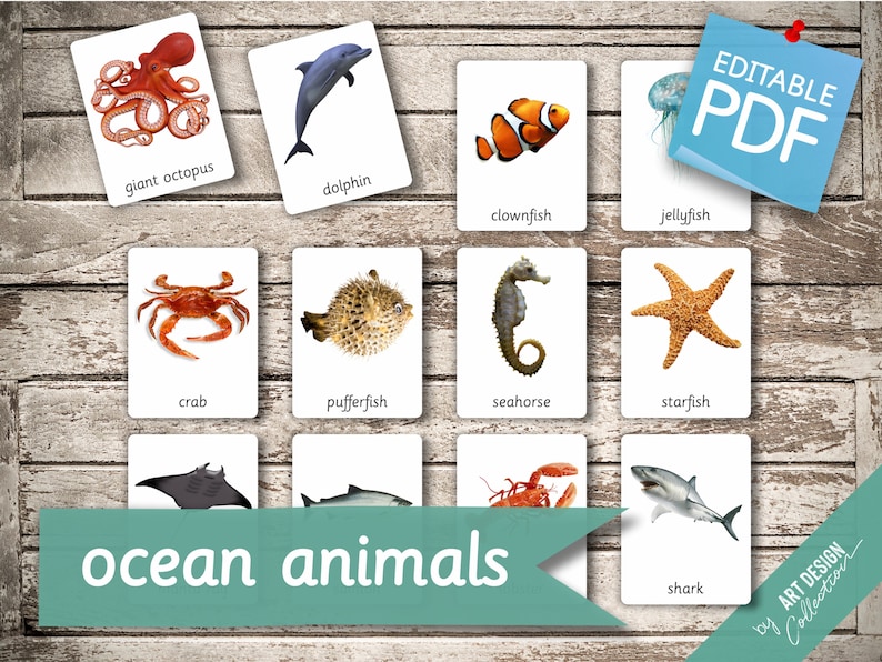 OCEAN ANIMALS 22 Montessori Cards Flash Cards Nomenclature FlashCards Editable Pdf Printable Cards preschool zdjęcie 2