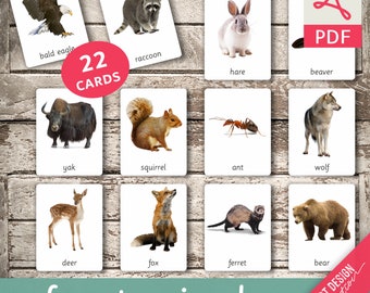 FOREST ANIMALS (real pictures) • 22 Editable Montessori Cards • Flash Cards Nomenclature FlashCards Editable PDF Printable Cards preschool