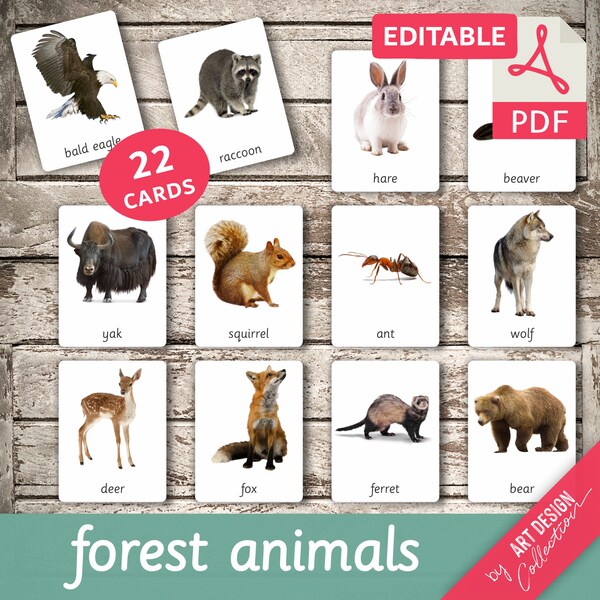 FOREST ANIMALS (real pictures) • 22 Editable Montessori Cards • Flash Cards Nomenclature FlashCards Editable PDF Printable Cards preschool