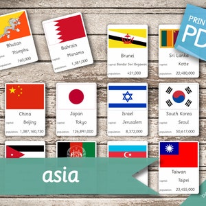 ASIA FLAGS • 48 Montessori Cards • Flash Cards  Nomenclature FlashCards Pdf Printable Cards preschool