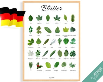 PFLANZENBLÄTTER POSTER Deutsche Edition • Montessori Poster • Montessori Homeschooling Lernposter Kinderspielzeug