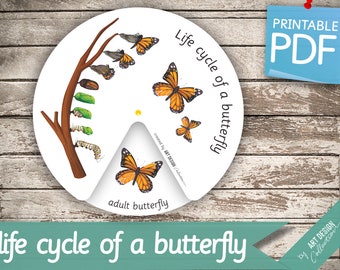 LIFE CYCLE of a BUTTERFLY Wheel • Montessori Busy Book Activity Nomenclature FlashCards  Printable Pdf Printable Cards preschool