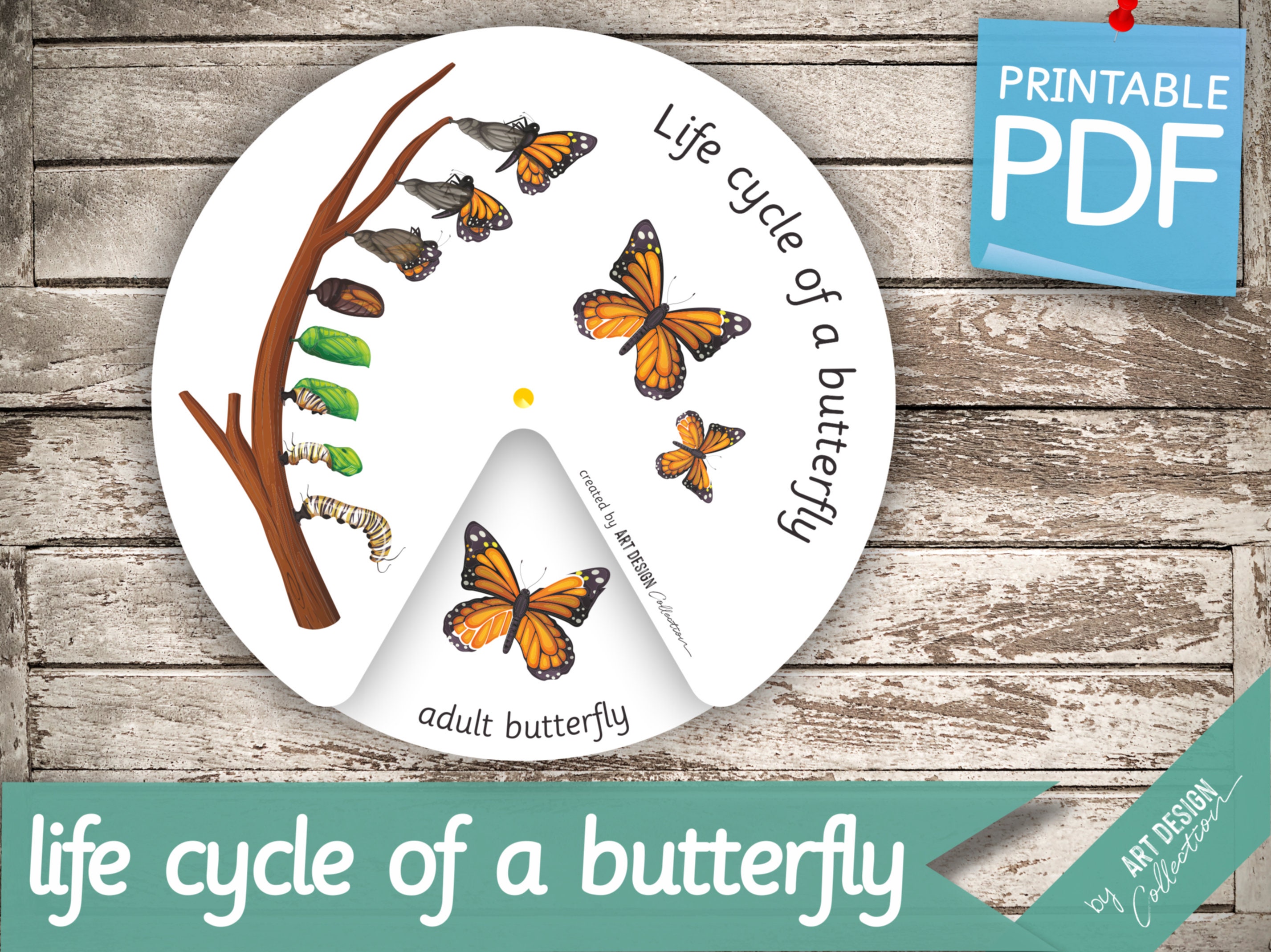 LIFE CYCLE of a BUTTERFLY Wheel Montessori Busy Book Etsy