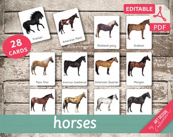 HORSES • 28 Editable Montessori Cards • Flash Cards Nomenclature Flashcards PDF Printable Cards preschool Toys Horse breeds