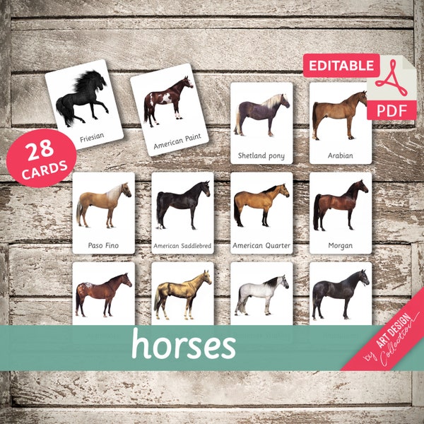 HORSES • 28 Editable Montessori Cards • Flash Cards Nomenclature Flashcards PDF Printable Cards preschool Toys Horse breeds