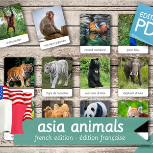 ASIA ANIMALS FRENCH Edition • 32 French and 32 English Editable Montessori Cards Flash Cards Nomenclature Cards Pdf Printable Toys preschool