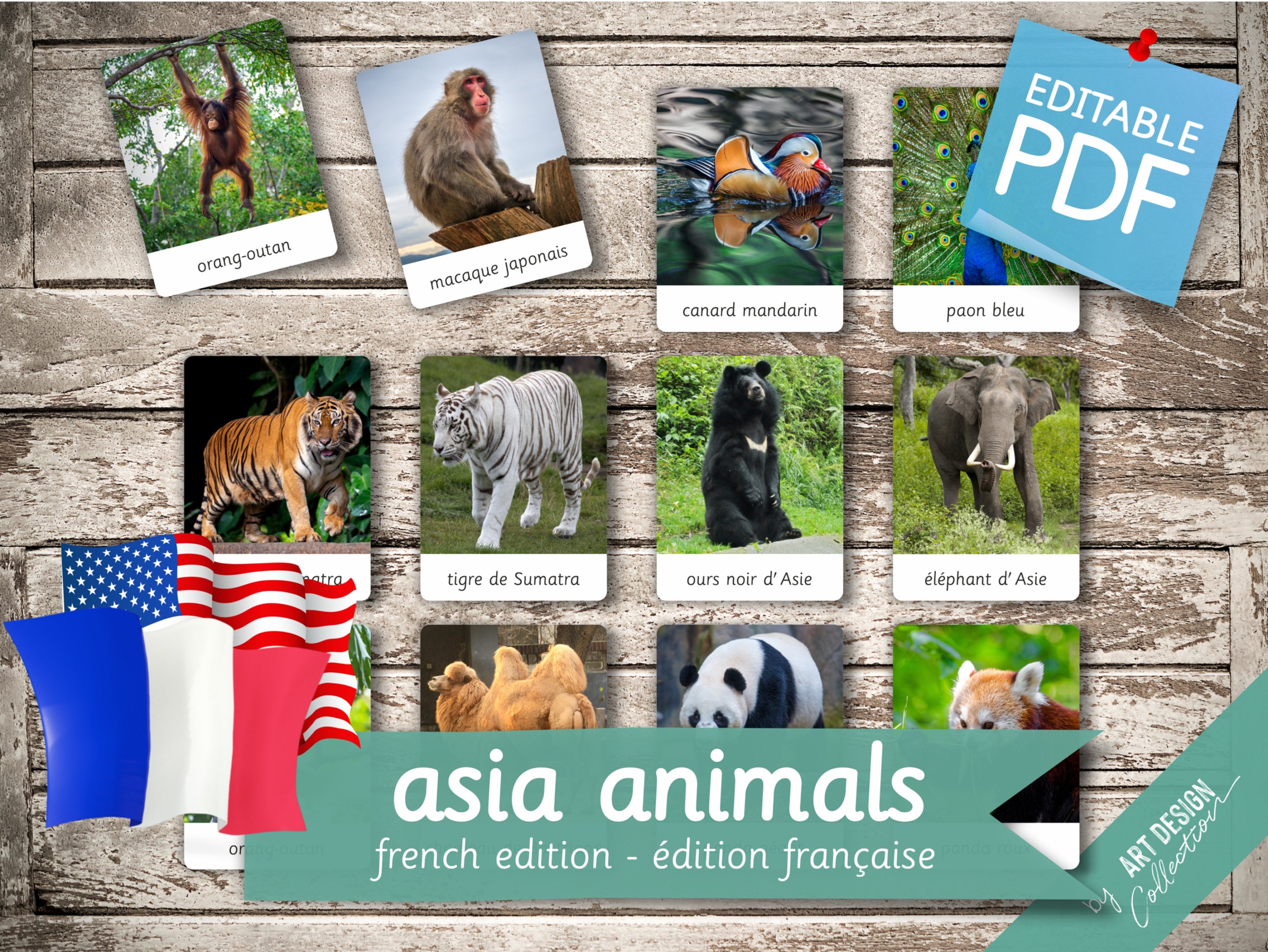 Buy Asian Animals Online In India - Etsy India Buy Asian Animals Online In India - Etsy India