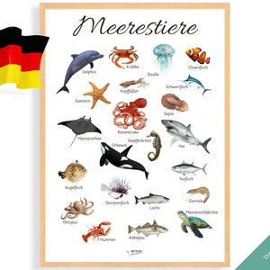 CARTEL DE ANIMALES DEL OCÉANO Edición alemana • Póster Montessori • Póster educativo Montessori para la educación en el hogar, juguetes para la habitación de los niños