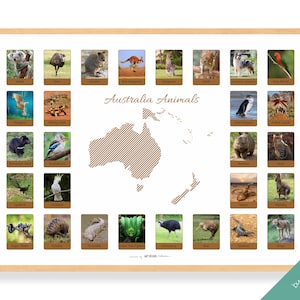 AUSTRALIA ANIMALS Poster • Montessori Poster • Montessori Educational Homeschooling Learning Poster Kids Nursery Room preschool