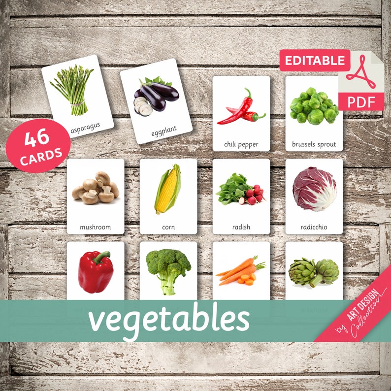 VEGETABLES real pictures 46 Editable Montessori Cards Flash Cards Nomenclature FlashCards Pdf Printable Cards preschool Toys immagine 1