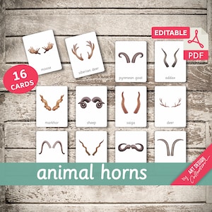 ANIMAL HORNS • 16 Montessori Cards • Flash Cards  Nomenclature FlashCards  Editable PDF Printable Cards preschool