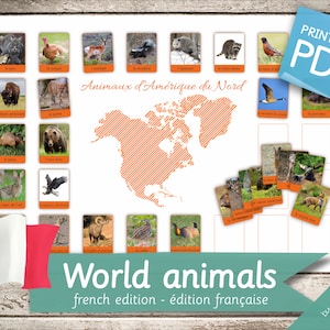 WORLD ANIMALS BOOK French Edition • 7 Printable Cards 17" x 11" • 196 animals Cards • Flash Cards Nomenclature Cards pdf Printable Cards