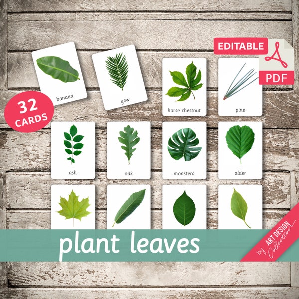 PLANT LEAVES (real pictures) • 32 Editable Montessori Cards • Flash Cards Nomenclature Cards Pdf Printable Cards Montessori Toys preschool