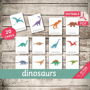 20 bearbeitbare DINOSAURIER Karten • Karteikarten Nomenklatur Karteikarten bearbeitbare Pdf druckbare Karten Vorschule