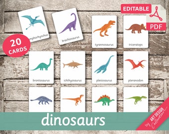 DINOSAURS • 20 Editable Montessori Cards • Flash Cards  Nomenclature FlashCards  Editable Pdf Printable Cards preschool