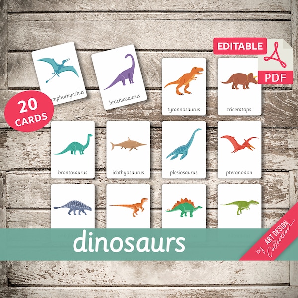 DINOSAURS • 20 Editable Montessori Cards • Flash Cards  Nomenclature FlashCards  Editable Pdf Printable Cards preschool