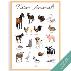 CARTEL DE ANIMALES DE GRANJA • Póster Montessori • Póster de aprendizaje educativo Montessori para la educación en el hogar para niños en edad preescolar